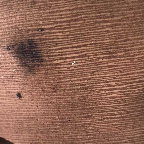 Ivory/beige ankle boots by Guess - Picture 7 of 7